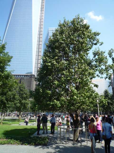 Baum Memorial.JPG
